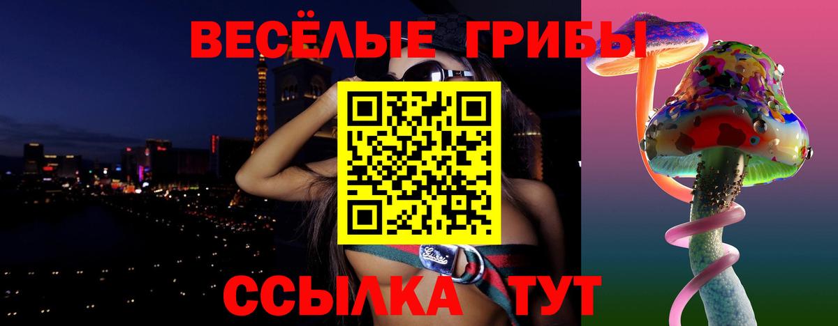 Псилоцибиновые грибы Cubensis  Вход с VPN  Орёл 